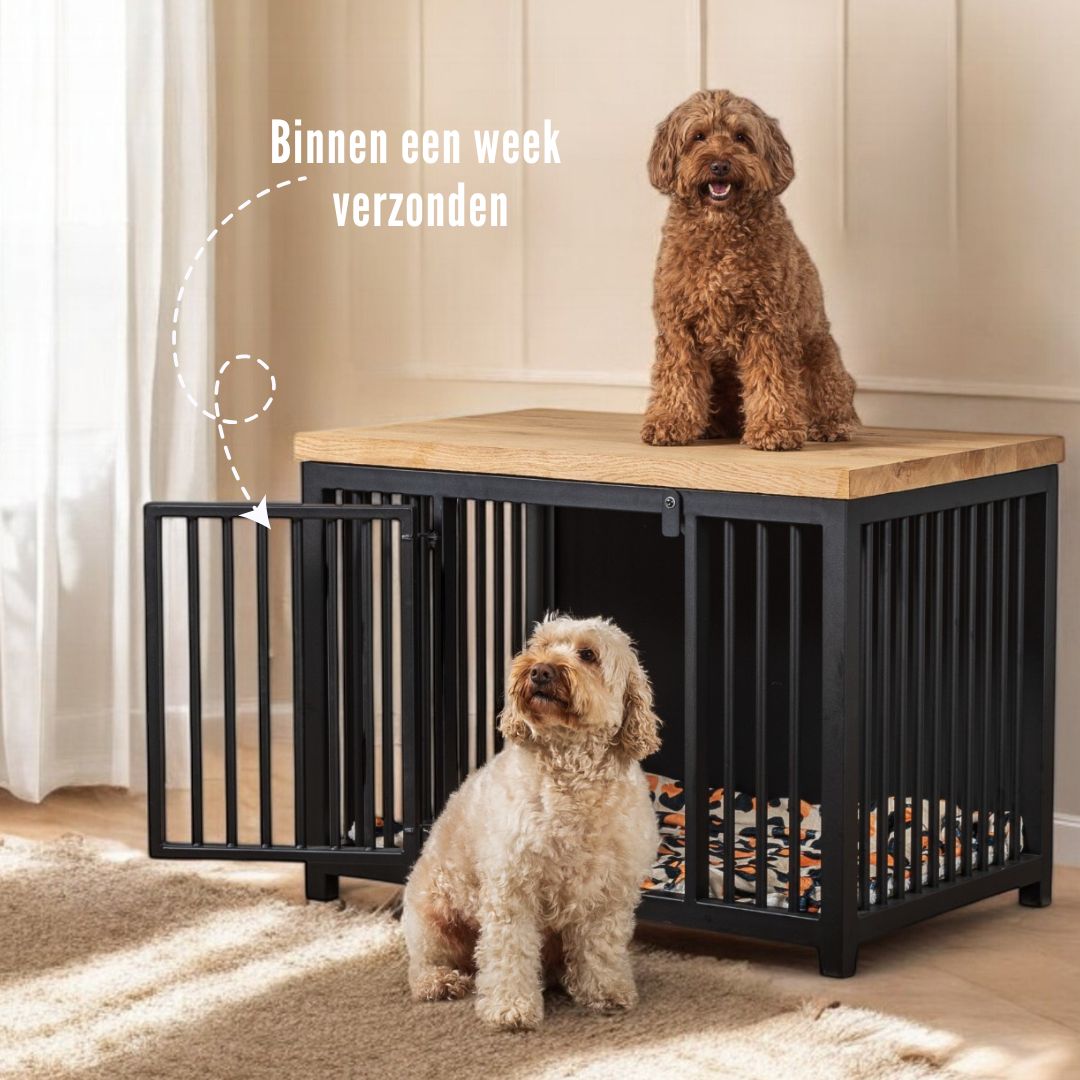 Stalen hondenbench met vol eikenblad