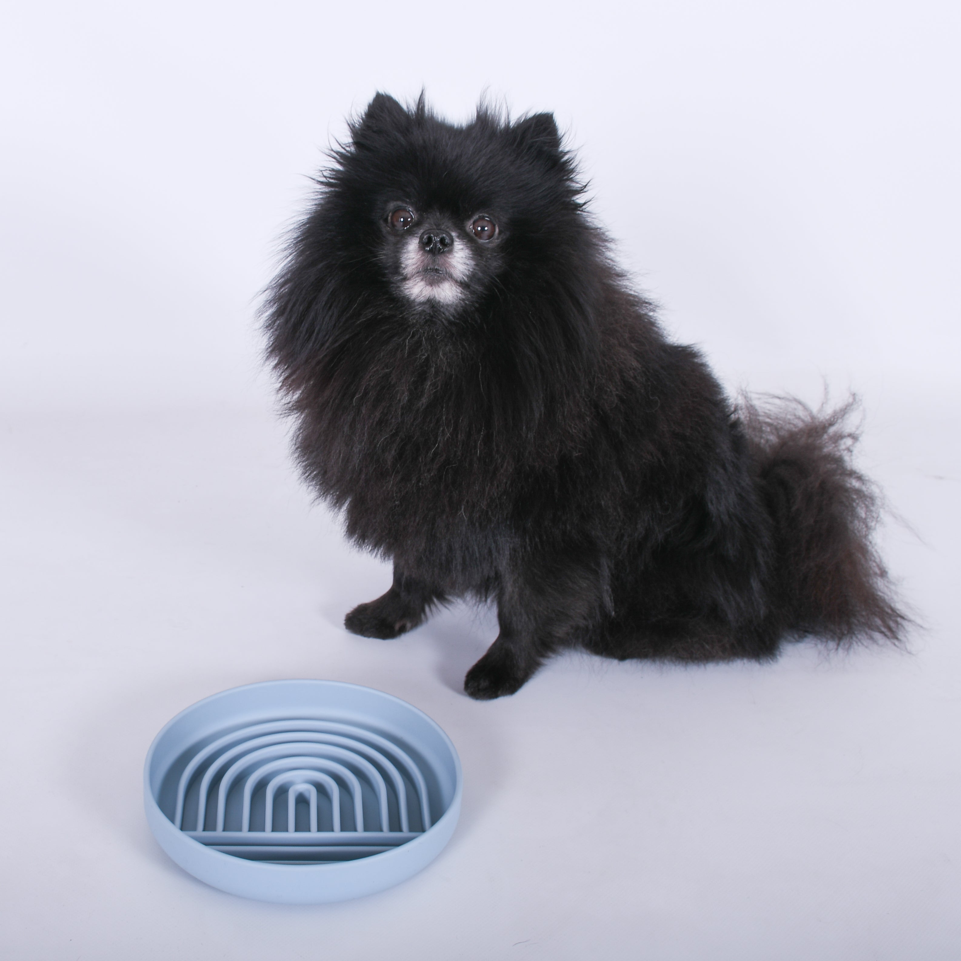 Slowfeeder blauw Regenboog voor brokjes en natvoer