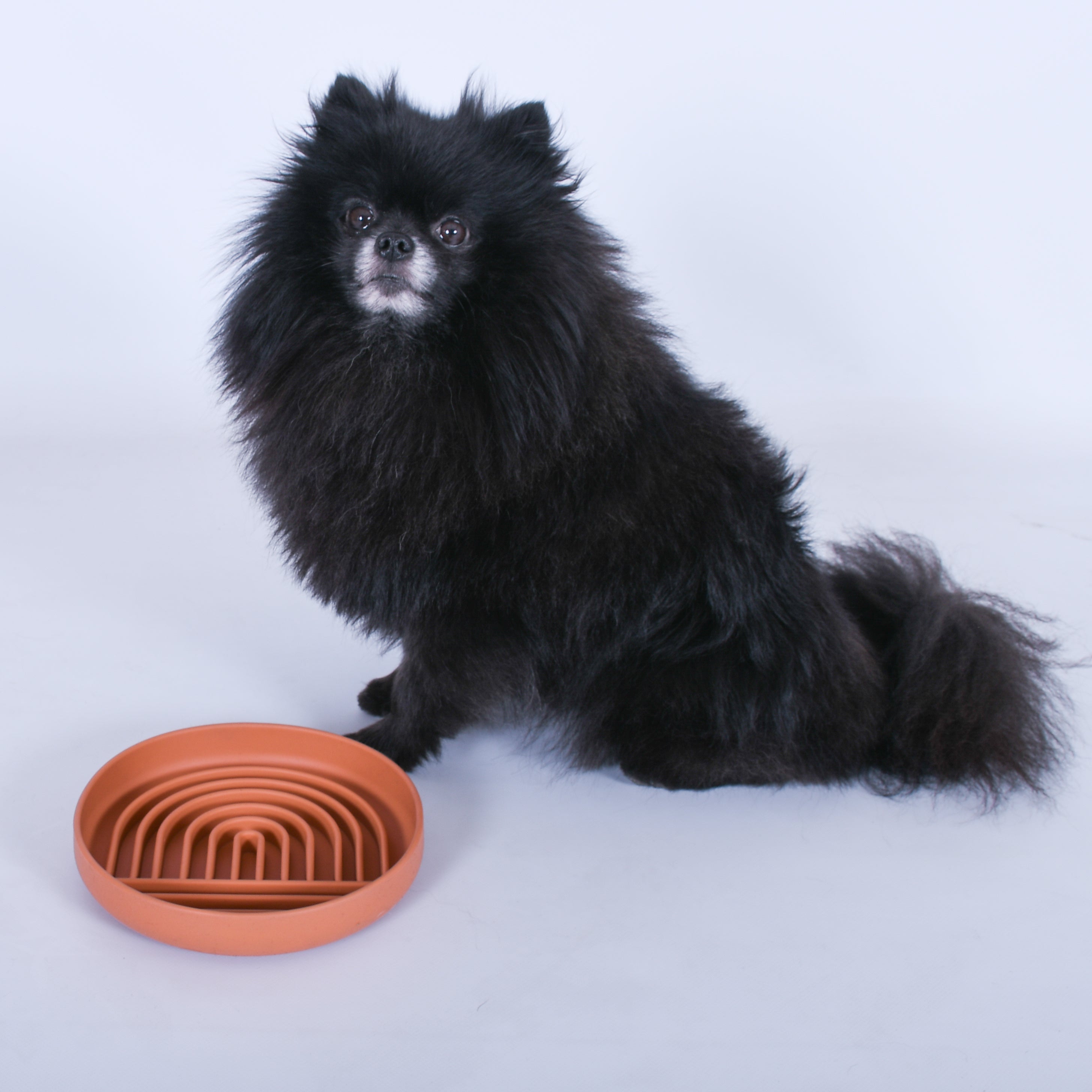 Slowfeeder oranje Regenboog voor brokjes en natvoer