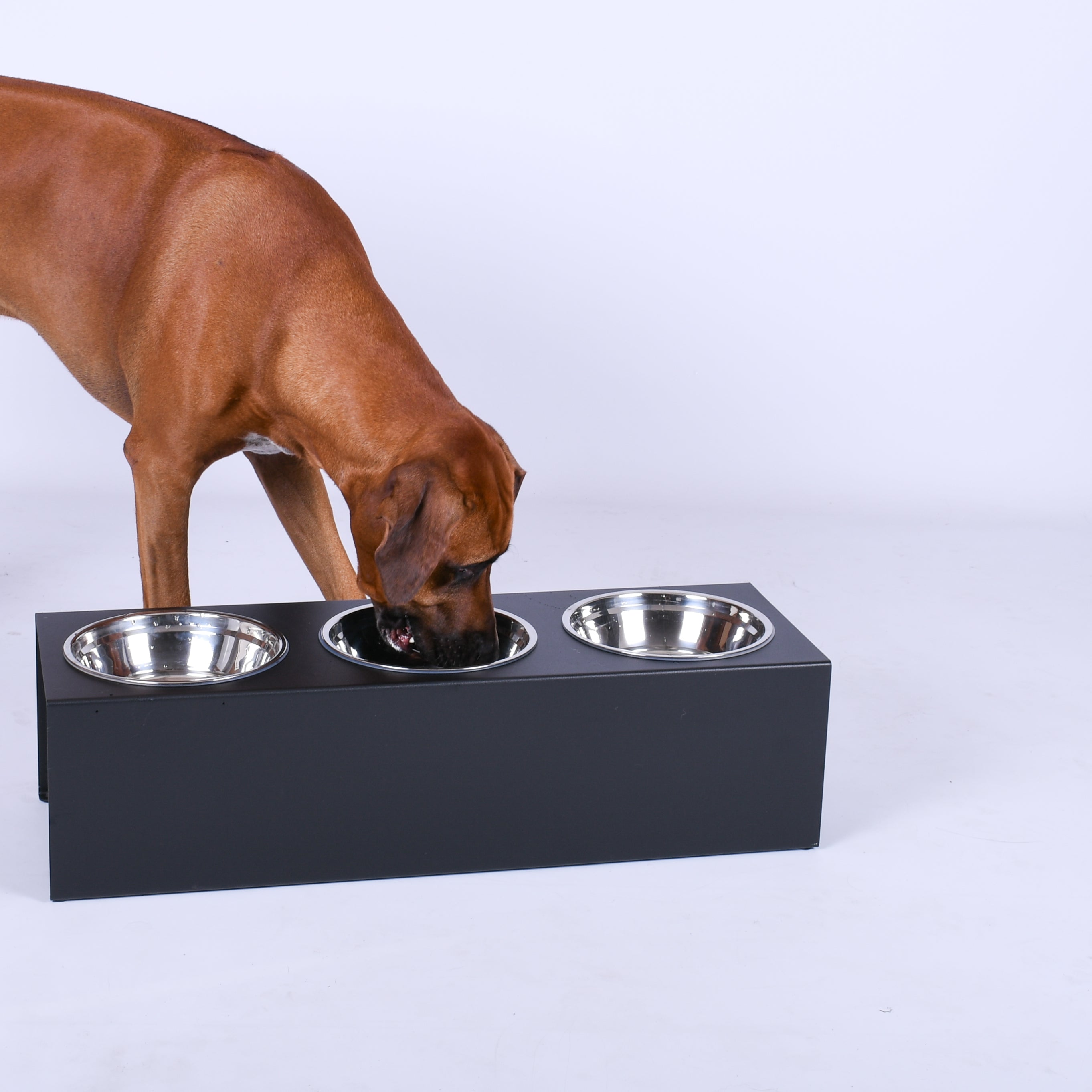 Honden voerbak staal 3 voerbakken