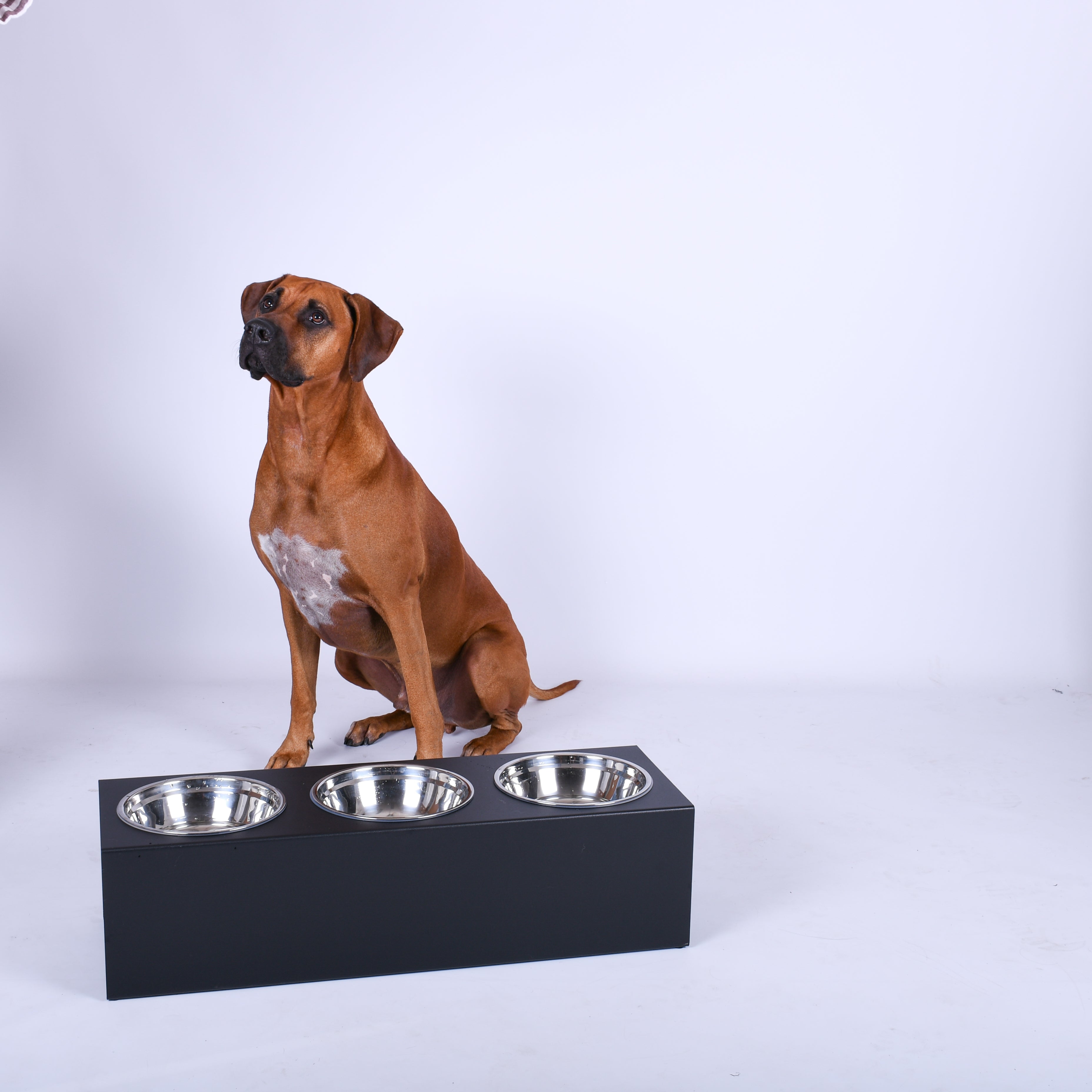 Honden voerbak staal 3 voerbakken