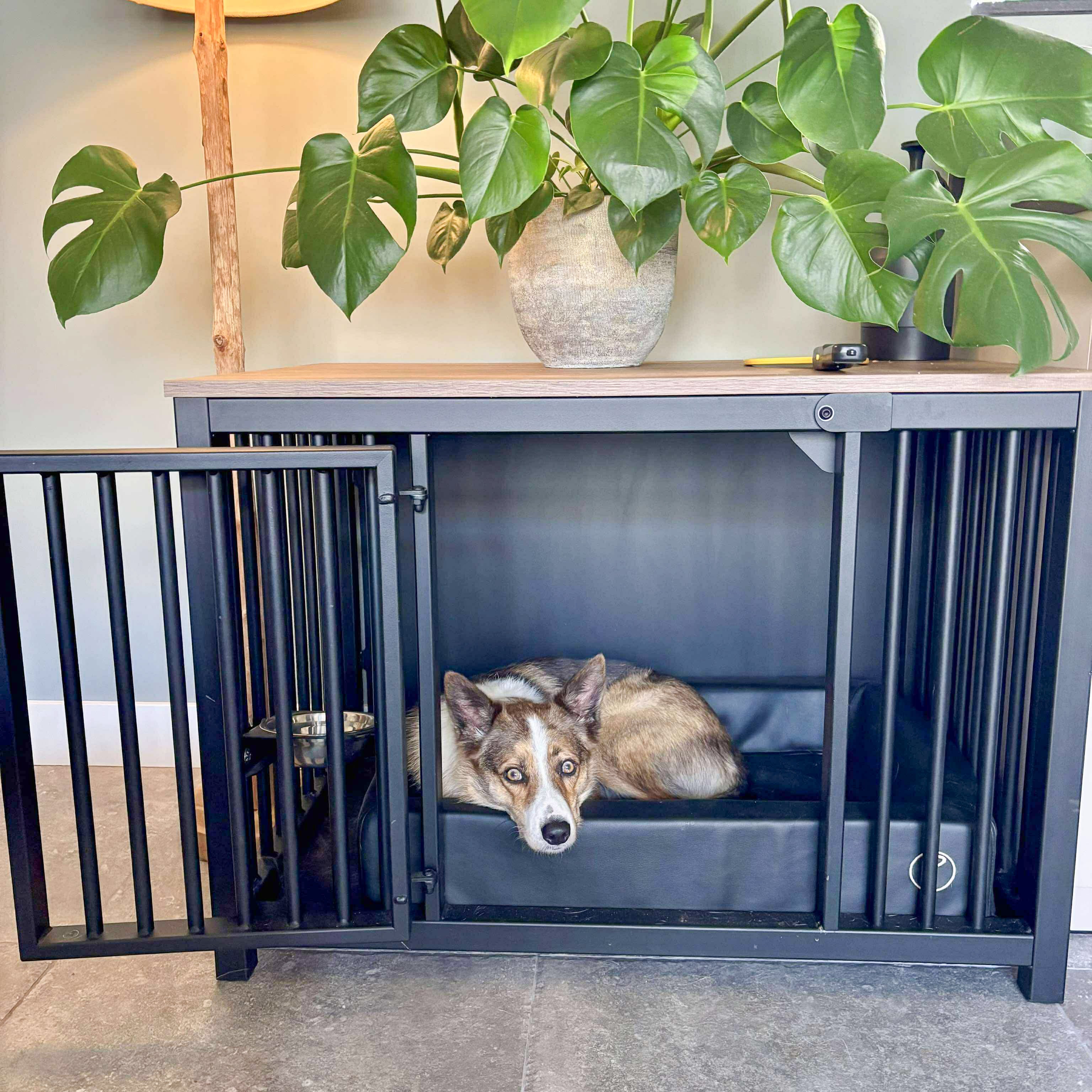 Stalen hondenbench voor in huis – Design bench voor woonkamer